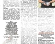 Article de presse la colombophilie belge